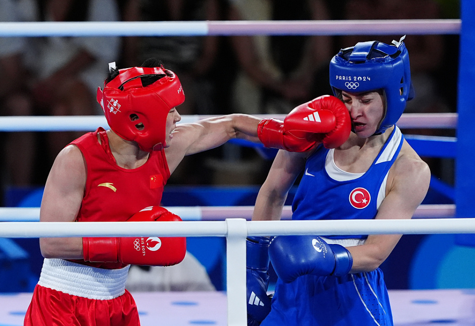 西班牙选手在拳击比赛中获得佳绩