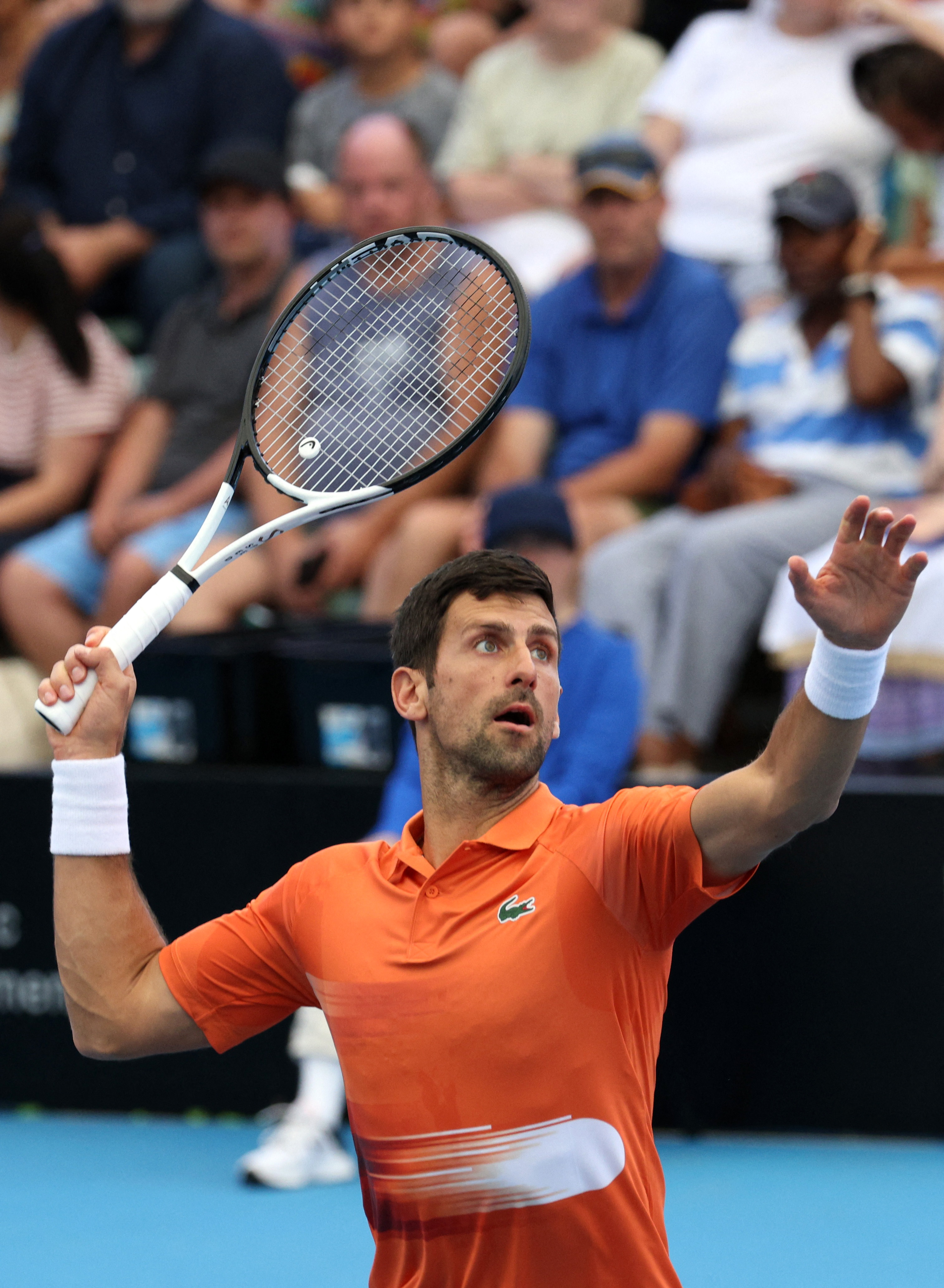 ATP总决赛翻盘拉沃尔杯，德约科维奇统治全场的简单介绍