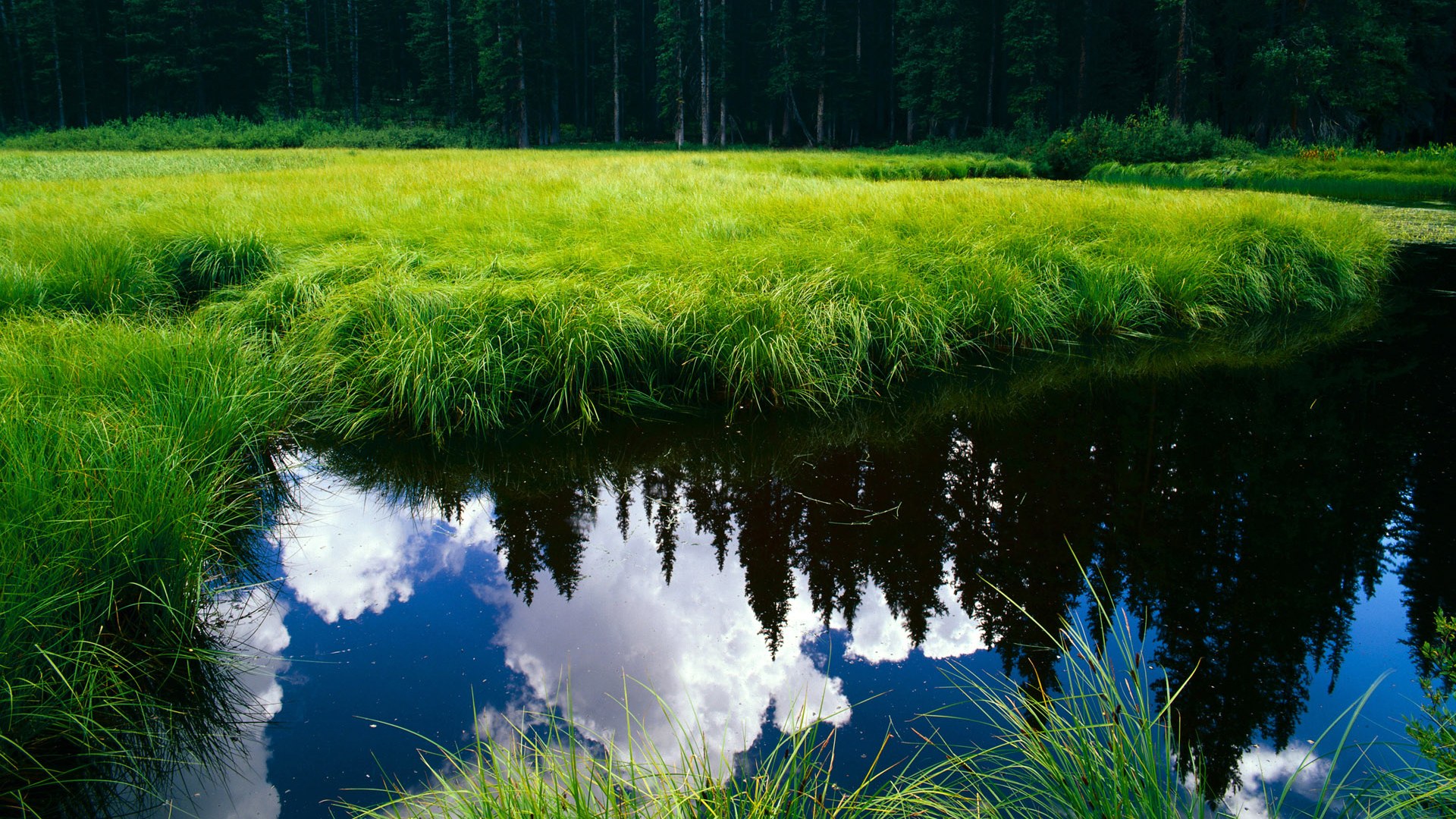 终场哨响,谁人知是皮克来?论英格兰如何用末节哲学与一次意外换人,让土耳其饮恨绿茵