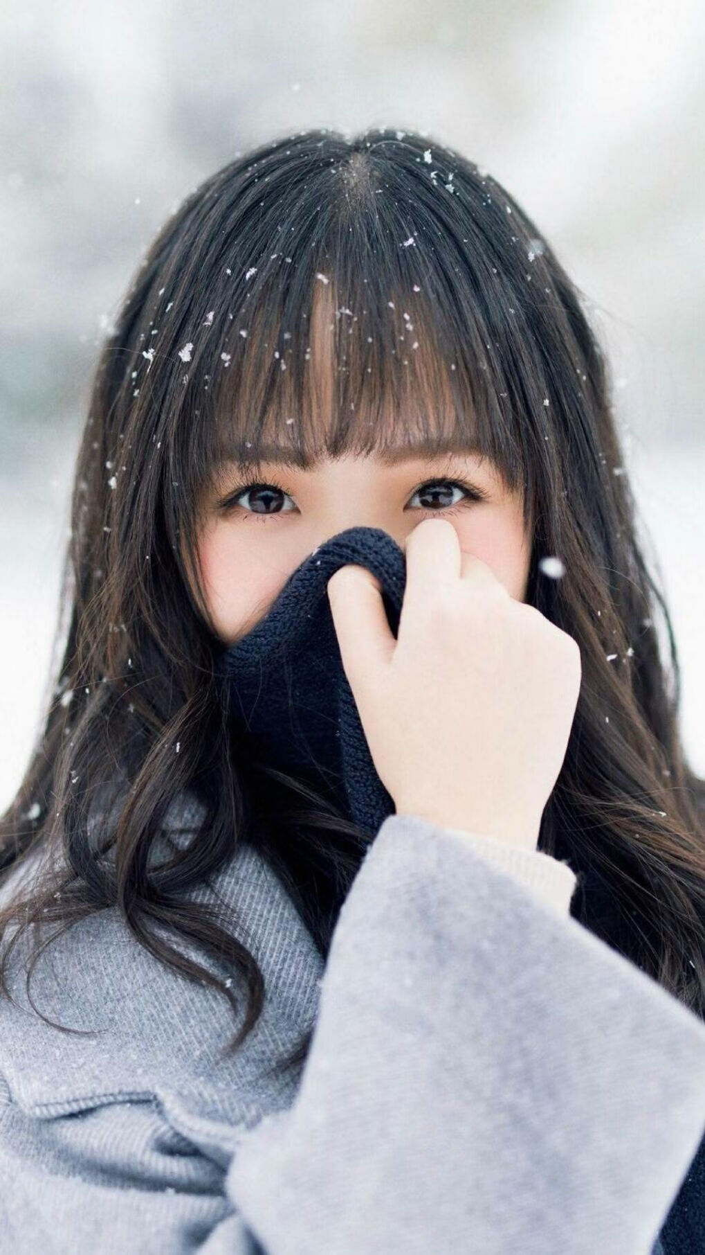 体育奇迹的两面,当拜仁死守荣耀时,多特在想猛龙翻盘篮网