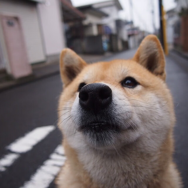 开云体育APP下载-全境焦点，当高压聚光灯下诞生真正的突围者