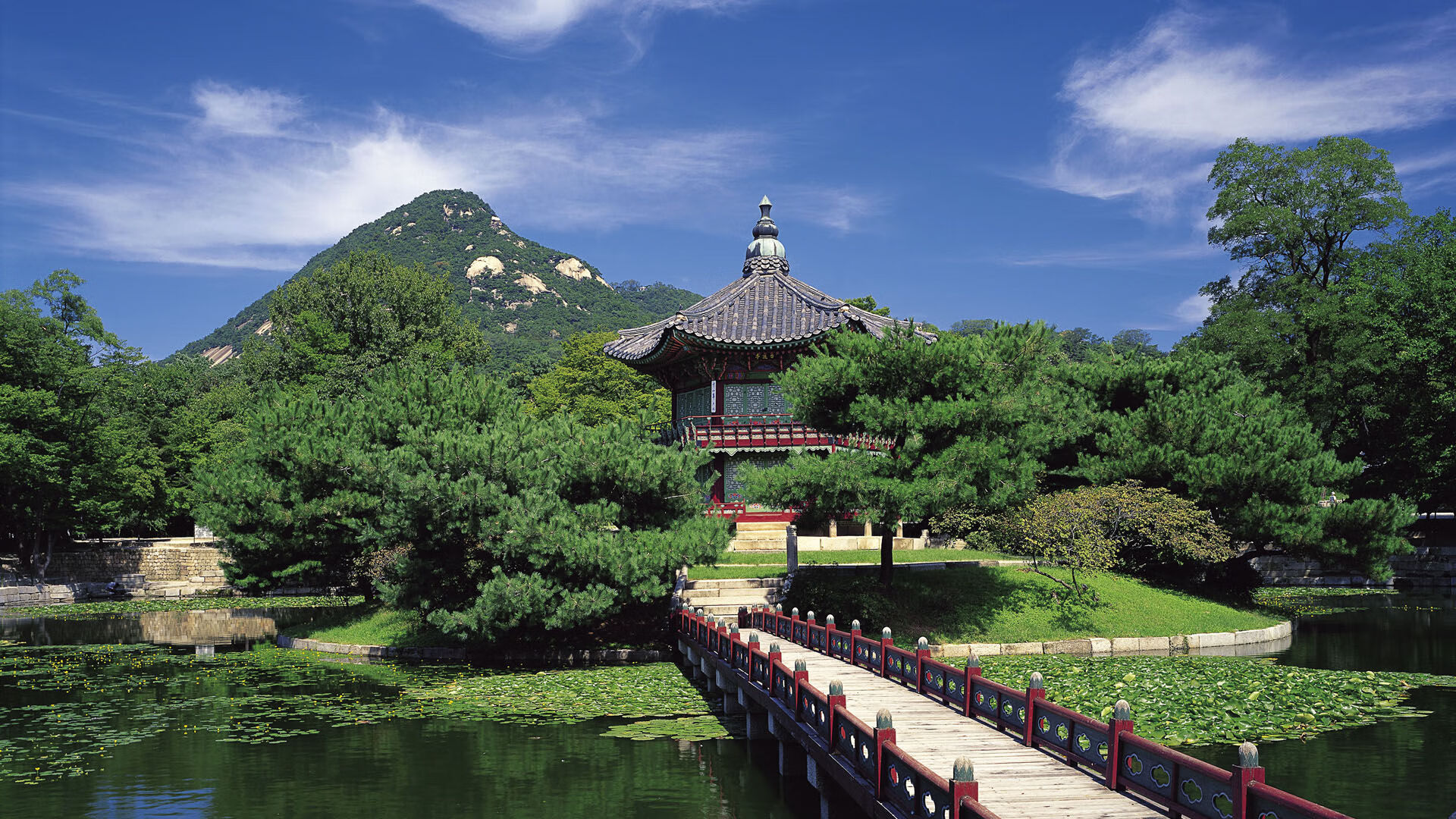 从多哈到慕尼黑，当荷兰单节的基因刻入欧冠半决赛的骨髓