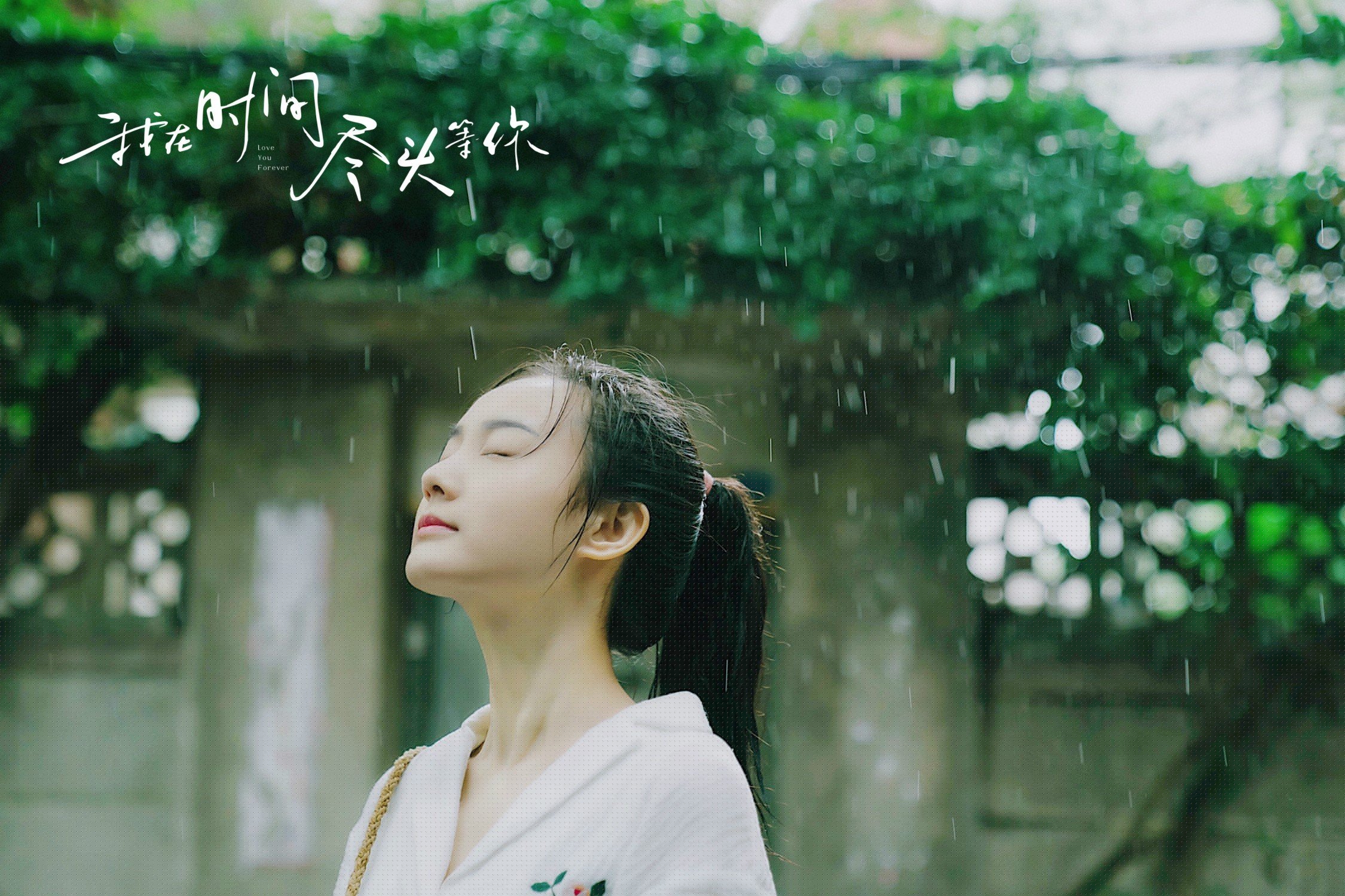 开云体育官网-当手术刀切开乱麻，范弗利特的拆解艺术与骑士的沉稳胜利