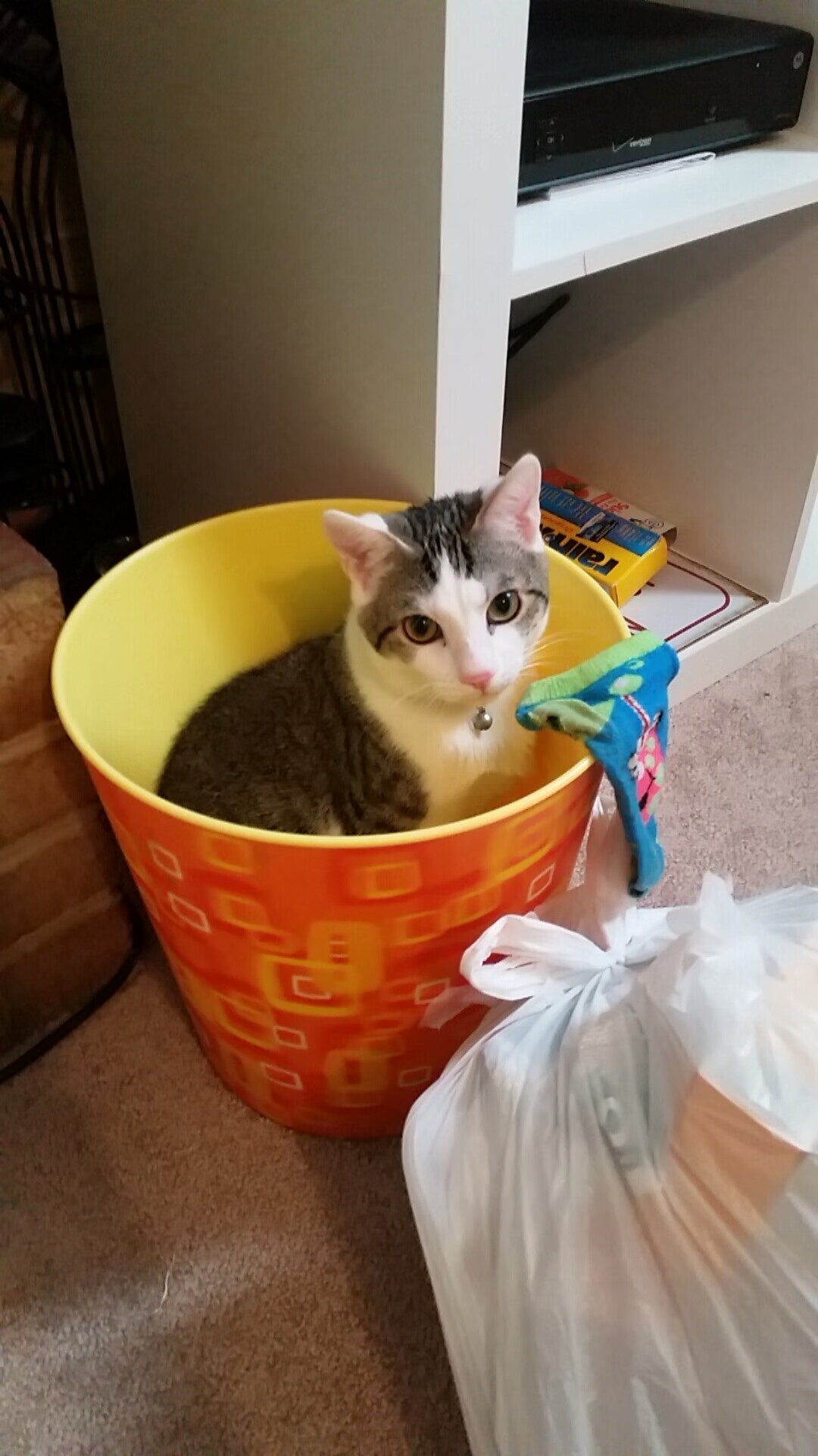 开云体育在线-欧冠半决赛之夜，当19岁的拉梅洛用一脚世界波，照亮了尘封25年的传奇之名