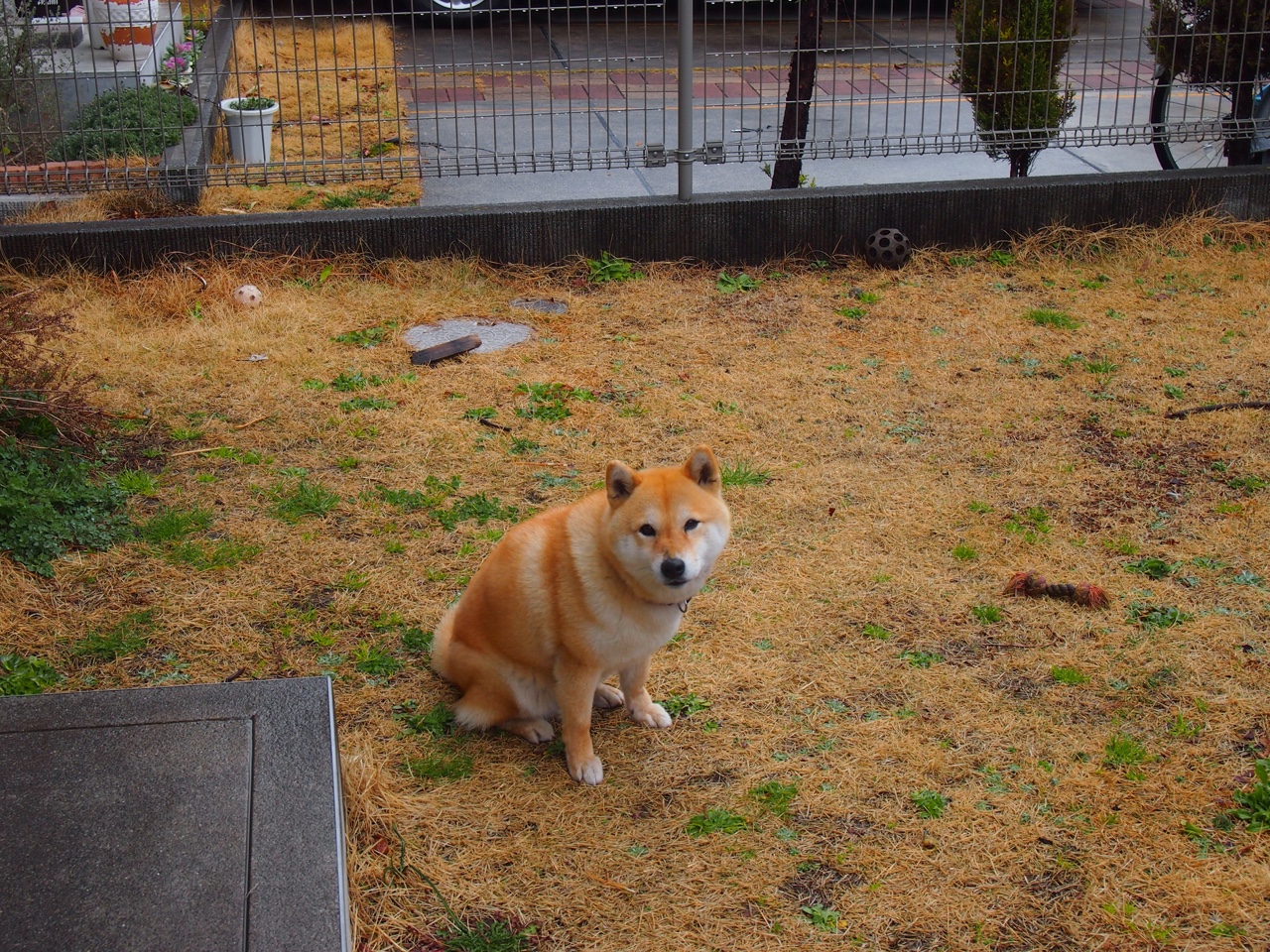 开云体育在线-奇迹之后，冰岛如何收割秘鲁，以及巴斯托尼在年度焦点之战中完成自我接管