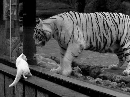 奥运男足预选赛惊心动魄，马里加时绝平仍出局，孙兴慜关键战戴帽率韩国晋级