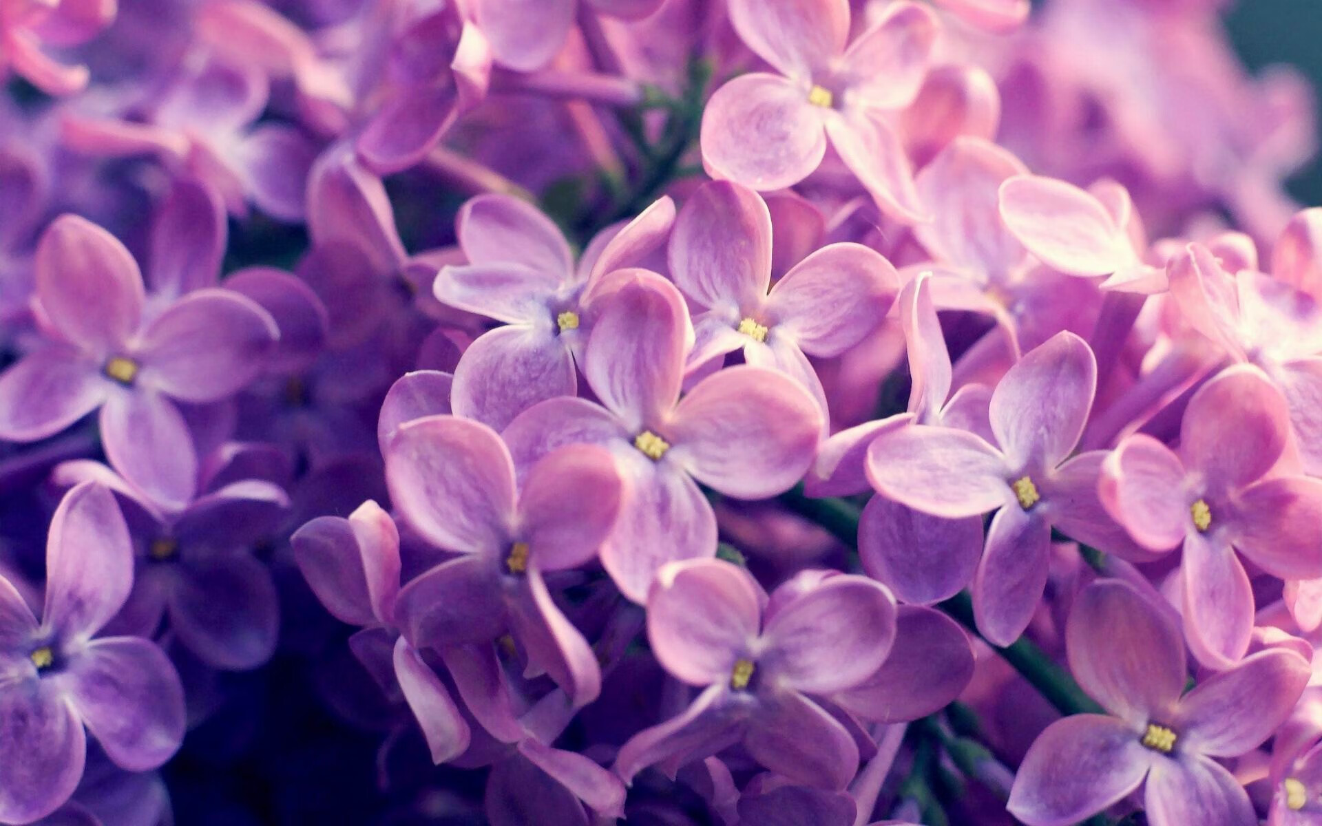 奇迹之战，拉梅洛狂飙53分，浙江队强行终结雷霆不败金身