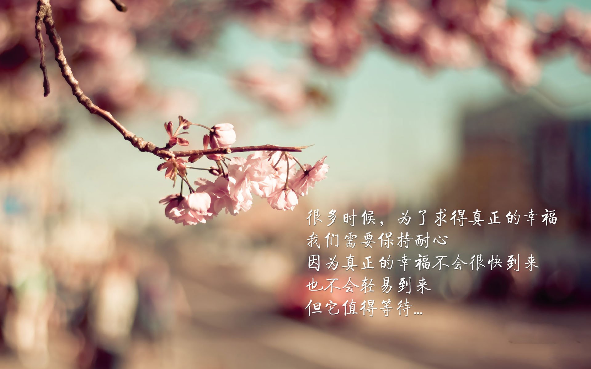 开云体育在线-绿茵地缘政治,当C罗的进球击溃乌克兰防线
