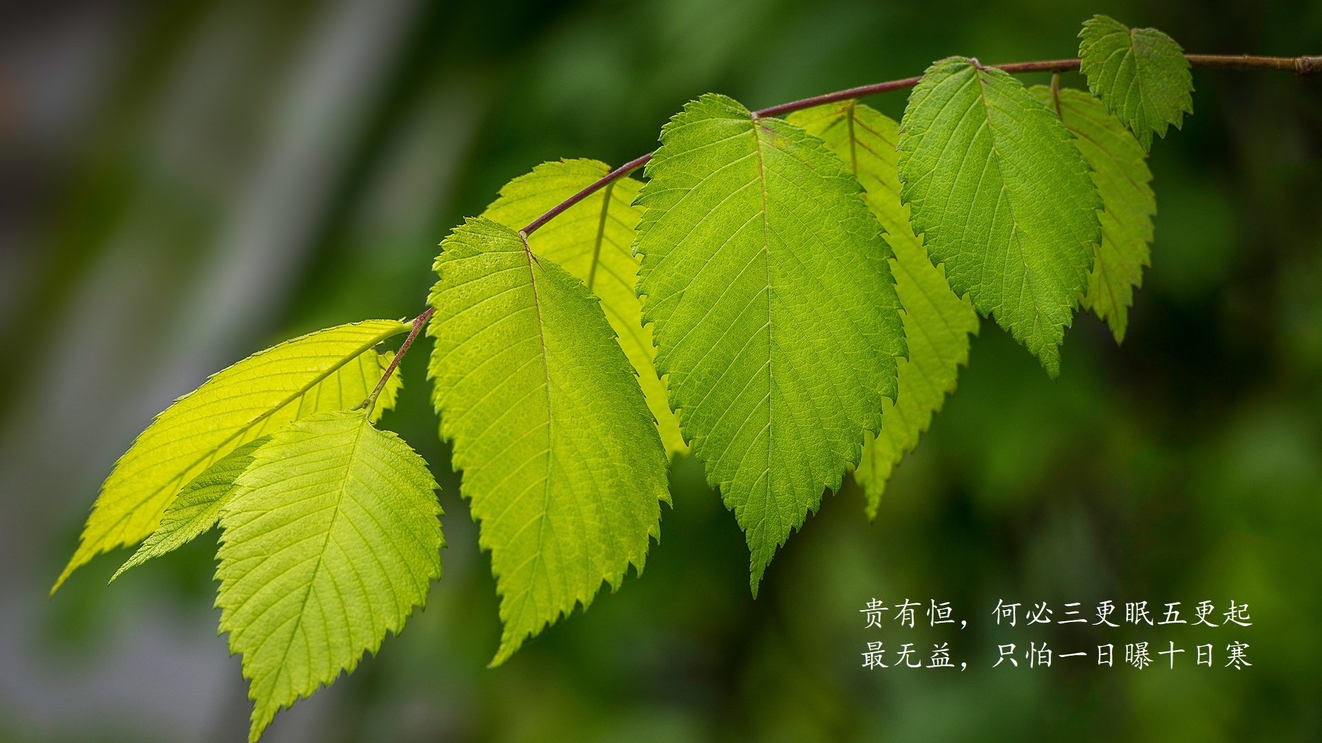 开云体育入口-当NBA季后赛之夜,遇见苏亚雷斯,用实力燃爆全场,一次顶一万次